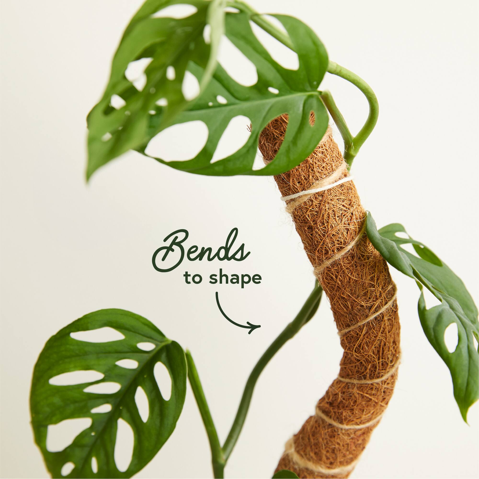 We The Wild™ 16" Coco Climber Bendable Extendable Grow Pole for Houseplants